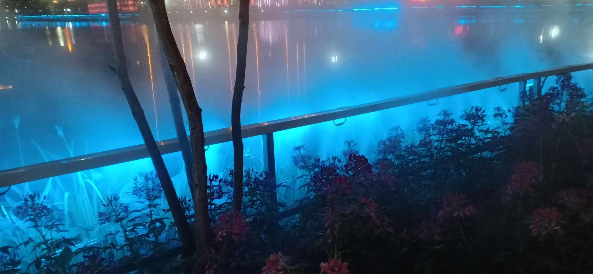 生化危机保护伞小队